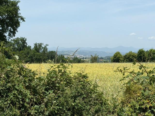 Roannes Saint Mary Vente Terrain 15