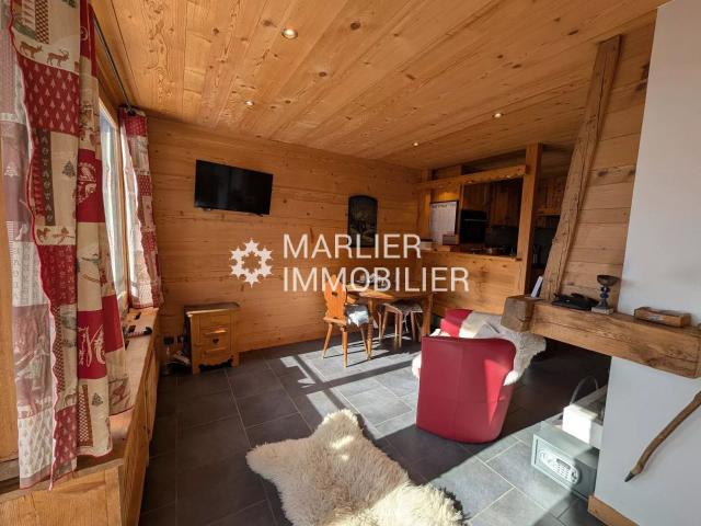 ROCHEBRUNE F2 DE 46,8 M²