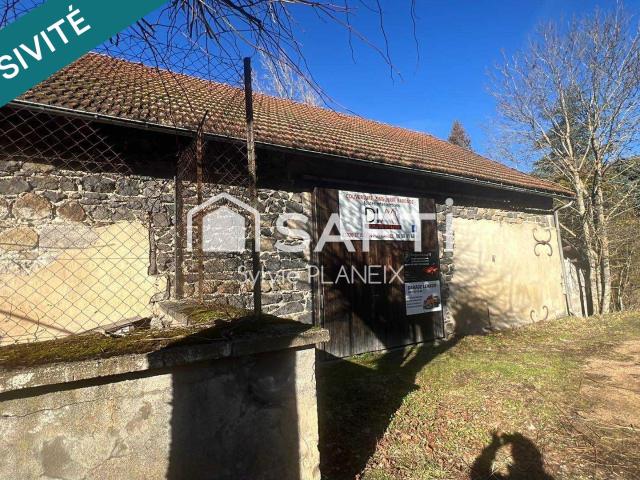 Rochefort Montagne Vente Immeuble 63