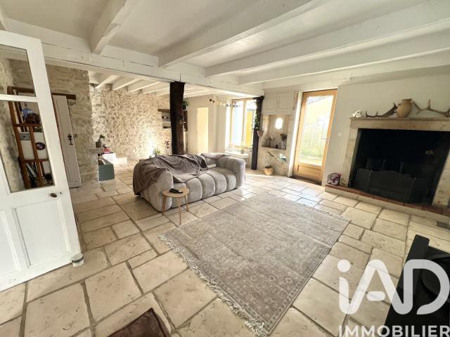 Roches Prémarie Andillé Vente Maison 86