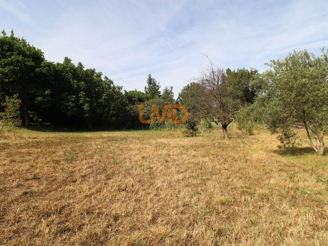 Rodès Vente Terrain 66