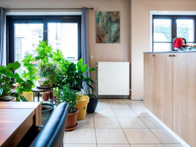 Roeselare: Ruim en lichtrijk gelijkvloers appartement in een aangenaam woonerf met 1 slpks 83 m²