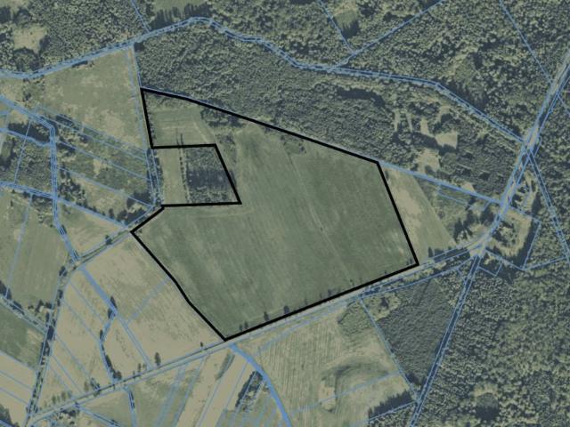 Rogalice 225 700 m², Rogalice