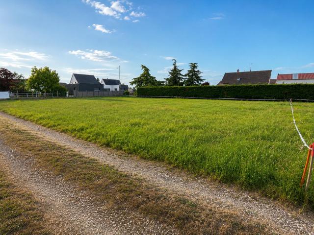 Roggenhouse Vente Terrain 68
