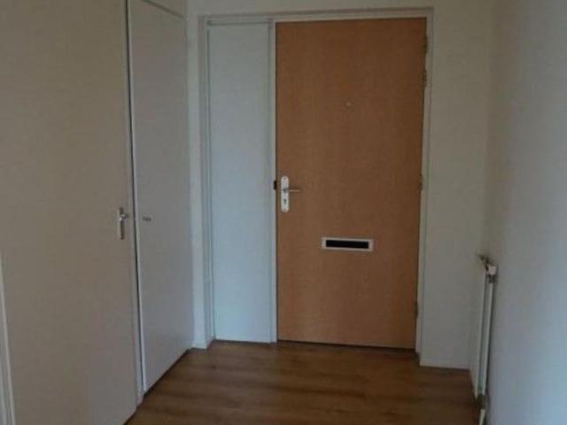 Roggekamp 0ong, 2592 Den Haag, Nederland