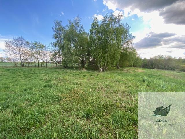 Działka budowlana 1435 m² w Rogowie – blisko rzeki Iny