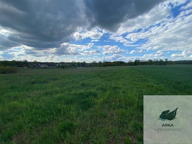 Działka 1567 m² z warunkami zabudowy, asfalt, woda, prąd