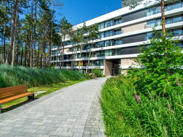 Rogowo 31,91 m², Rogowo