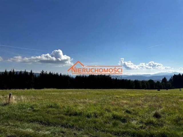 Rogówek 3 000 m², Rogówek
