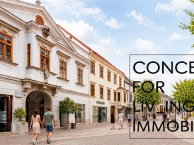 Rohdachboden mit Entwicklungsvision für 2 Wohneinheiten mit historischem Charme