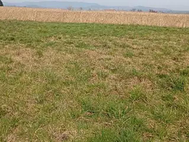 Roiffieux 07100 Programme neuf terrain neuf à vendre