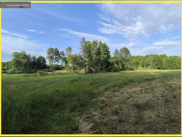 Lasoty, 8000 m² Działka