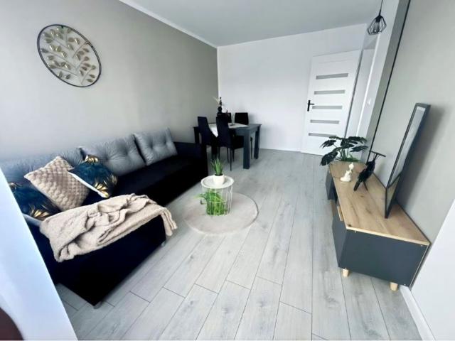 Rojna 39 m², Łódź