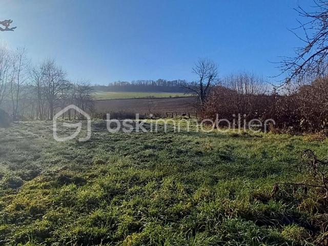Rolampont Vente Terrain 52