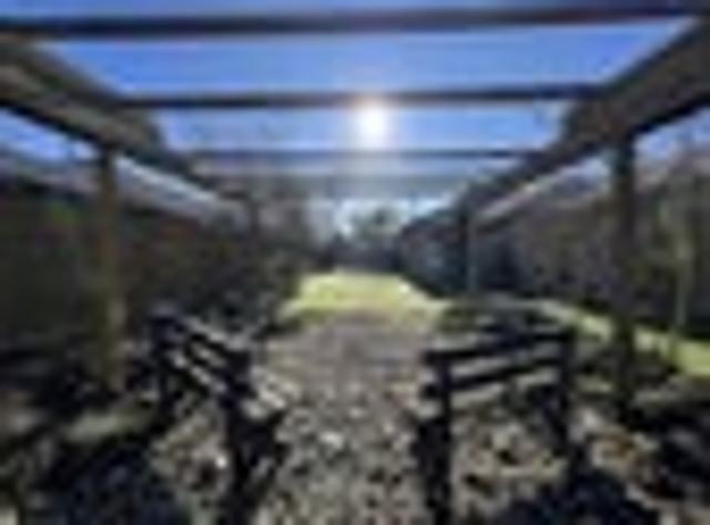 Rolleston, 5 bedrooms, $680 pw