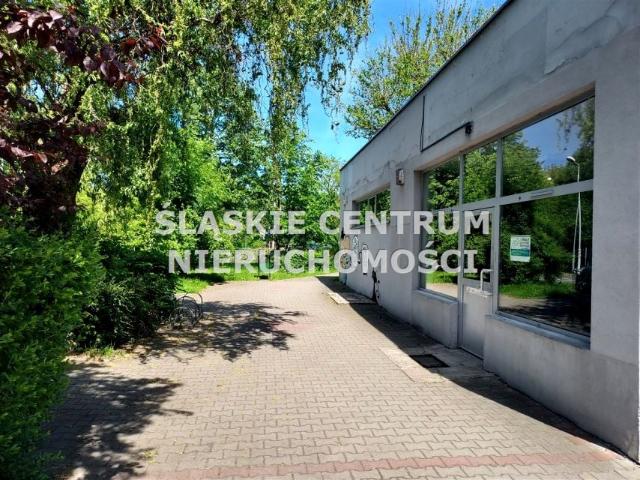Rolna 174,51 m², Katowice