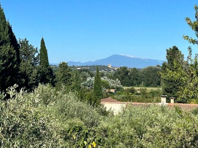 Roquemaure Vente Terrain 30