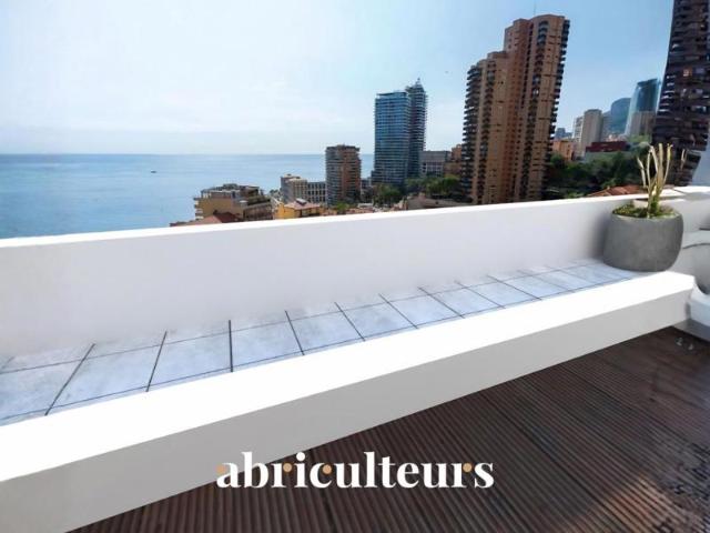 Roquebrune Cap Martin 2 Pièces de Prestige à 500 m de Monaco