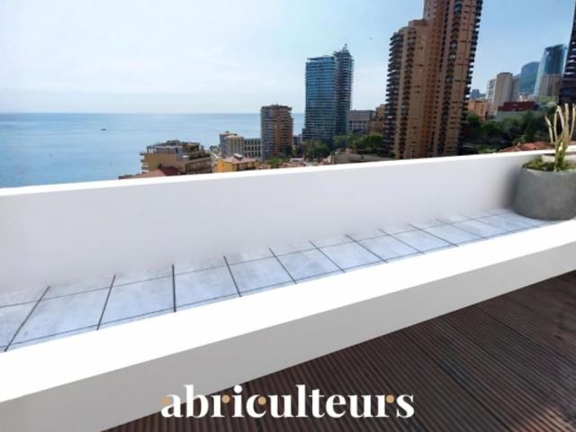 Roquebrune Cap Martin 2 Pièces de Prestige à 500 m de Monaco