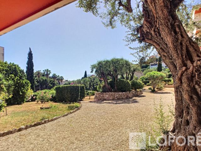 Roquebrune Cap Martin Location Appartement 06