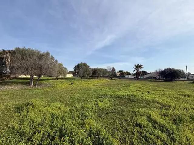 Roquebrune sur Argens 83520 Programme neuf terrain neuf à vendre
