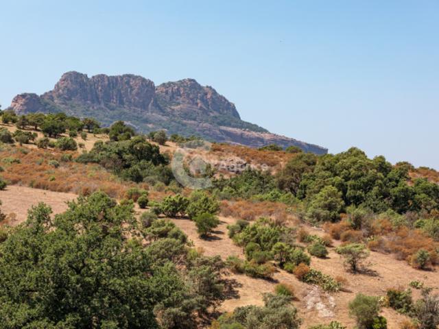 Roquebrune sur Argens Charmante masion jumelée d'un côté r