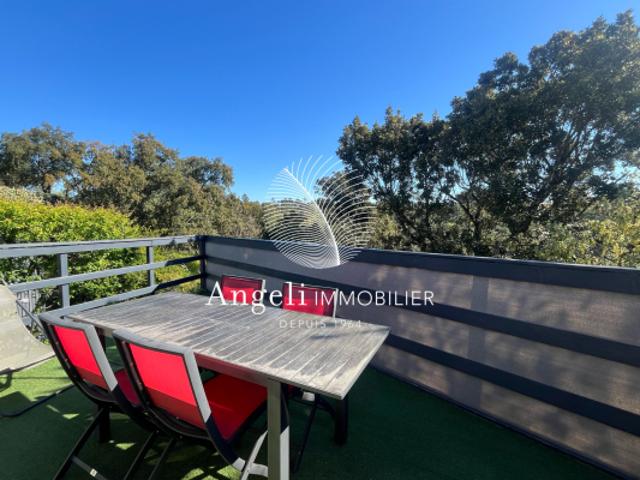 ROQUEBRUNE SUR ARGENS: DOMAINE DES 2 COLLINES