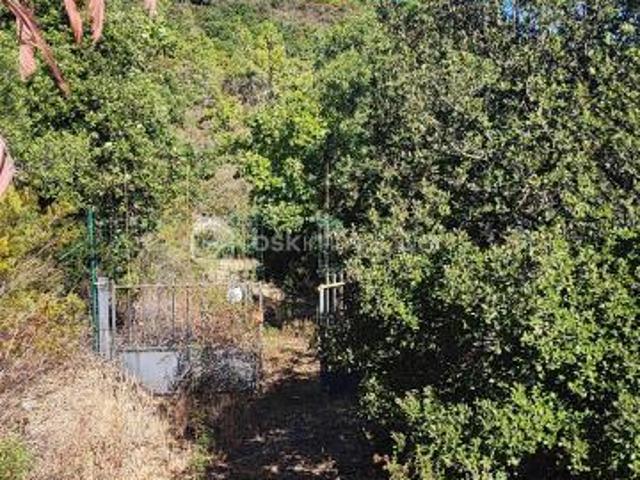 Roquebrune sur Argens Vente Terrain 83