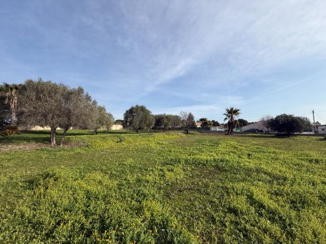 Roquebrune sur Argens Vente Terrain 83