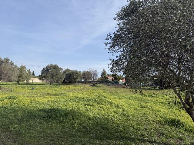 Roquebrune sur Argens Vente Terrain 83