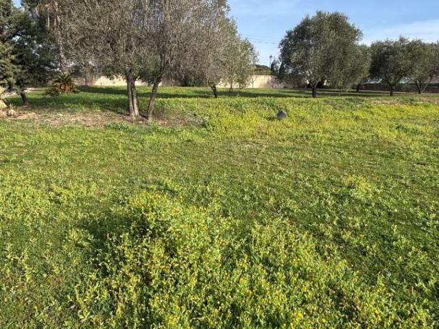 Roquebrune sur Argens Vente Terrain 83