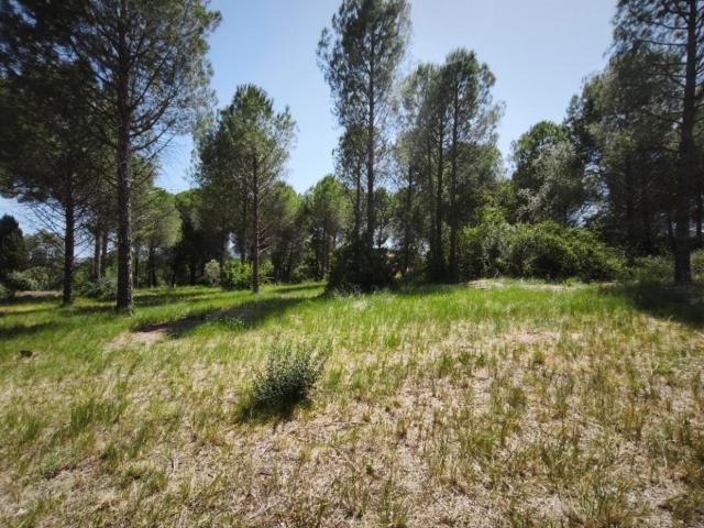 Roquebrune sur Argens Vente Terrain 83