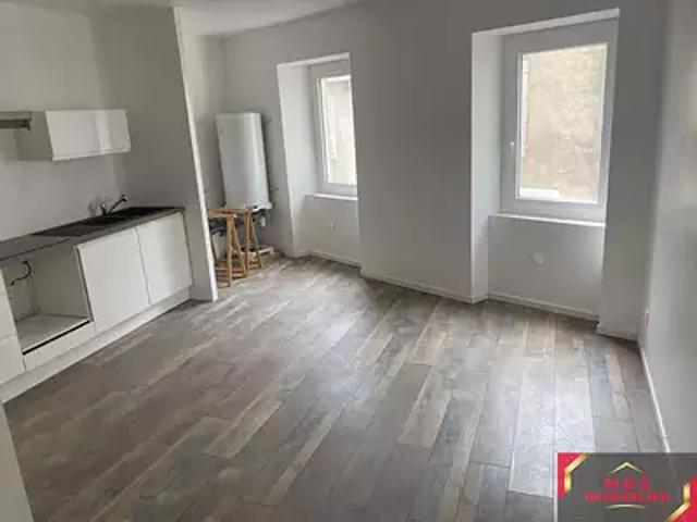 Roquecourbe 81210 Achat / Vente immeuble