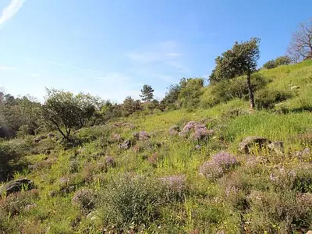 Roquefort les Pins 06330 Achat / Vente terrain