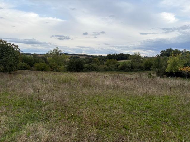 Roquesérière Vente Terrain 31