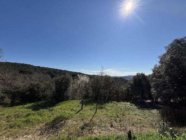 Roquessels Vente Terrain 34