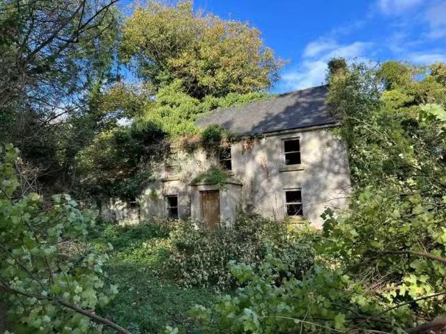 Rosdellig, Rosdellig, Borris, Co. Carlow is for sale