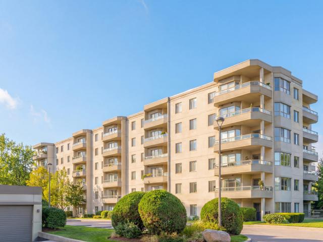 Rosecliffe Gardens II Delphinium [object Promise] for Rent