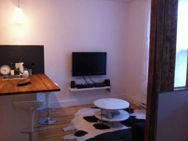 Rosemont – Appartement 3 1/2 meublé à louer