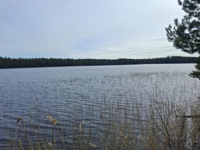 Rösjön, Ingelshyttan