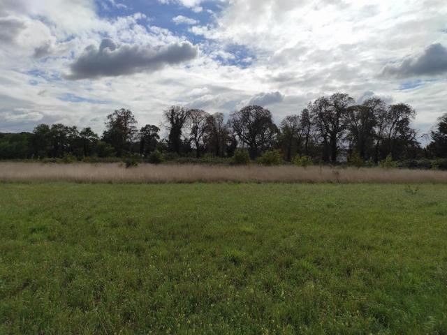 Rosny sur Seine Vente Terrain 78
