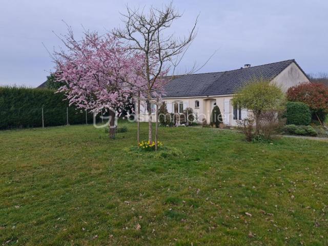 Rosoy le Vieil Vente Maison 45