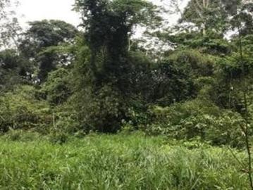 ROSS ¡ BAJO DE PRECIO Increíble terreno rustico residencial en Tambopata ¡