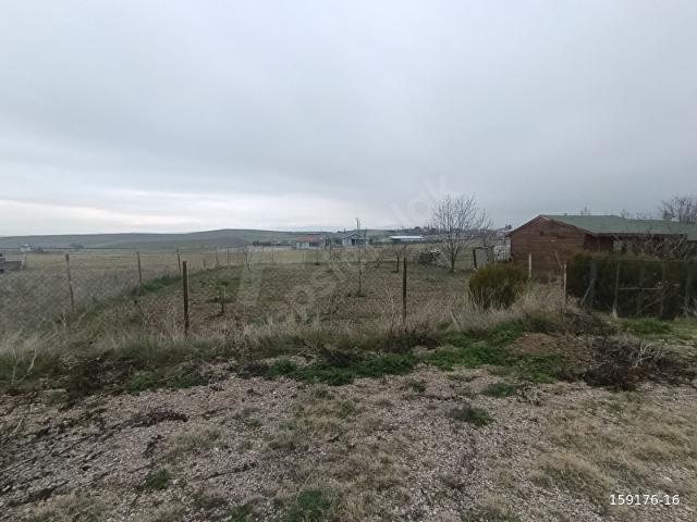 ROTA ELİTTEN! DOĞA İÇİNDE, MEYVE AĞAÇLI, ALT YAPISI HAZIR 464 m