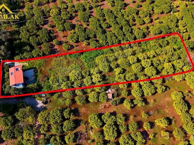 ROTA EMLAK'TAN SEFERİHİSAR ÜRKMEZ'DE 1700m SATILIK BAHÇE