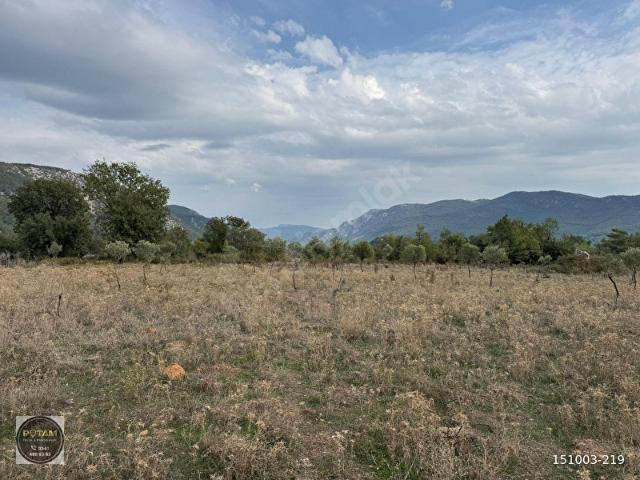 ROTAM EMLAKTAN MUĞLA MİLAS KAYADERE'DE 8002,55 M SATILIK TARLA