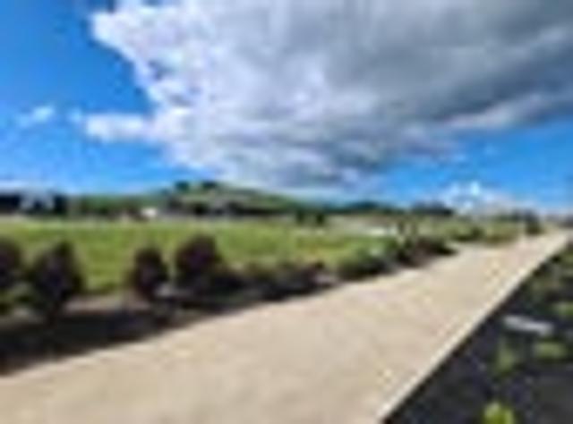 Rototuna, 3 bedrooms, $680 pw