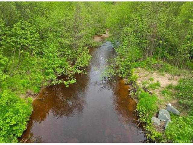Route 425, Exmoor, NB, E9E 1L4 vacant land for sale | Listing ID NB142914 | Royal LePage