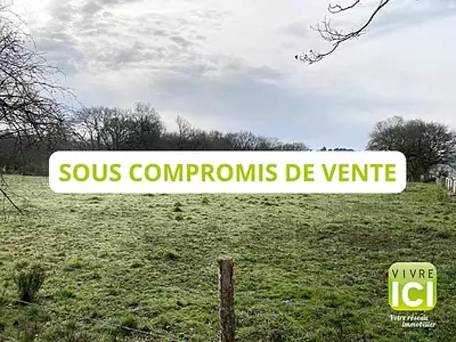 Rouans 44640 Achat / Vente terrain
