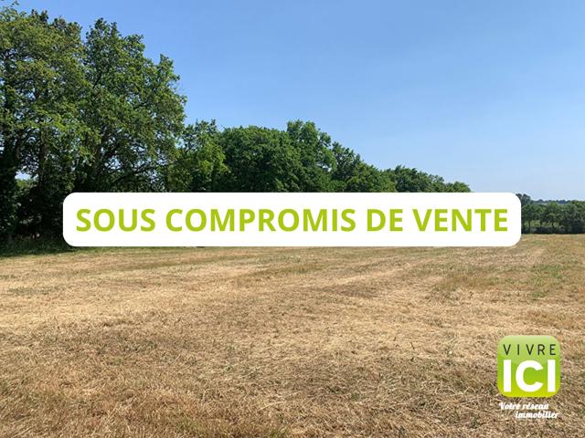 Rouans Vente Terrain 44